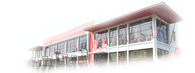 Lee Ozawa Sdn Bhd